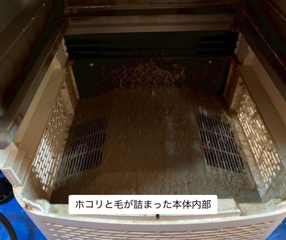 パチパチ音の原因となったAirdog内部の汚れた状態